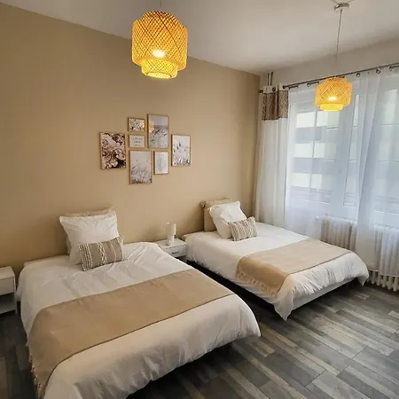 Spacieux - Face A La Gare Et Centre-ville * Épinal