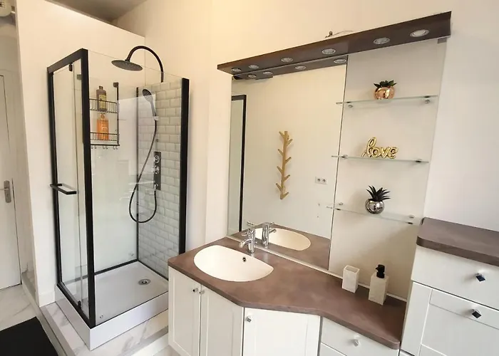 Apartmán Spacieux - Face A La Gare Et Centre-ville Épinal