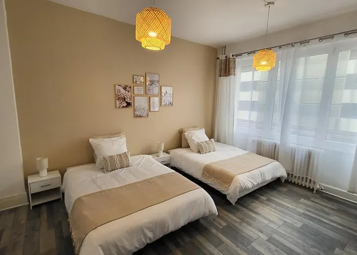 Spacieux - Face A La Gare Et Centre-ville * Épinal